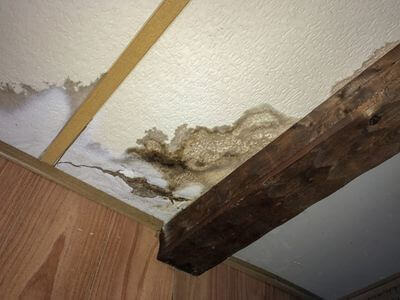 Professional water damage restoration services in Bridgeport